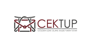 Cektup